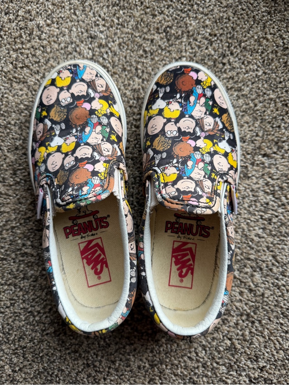Vans Peanut Gang - **Rare** Kids Slip-On Sneakers